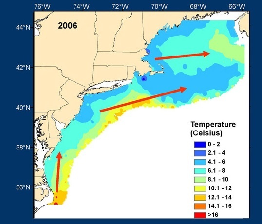 NOAA ocean temperature study shows NE fish stocks shifting away from ...